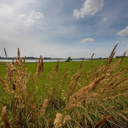 Privatunterkunft Richtenberger Ente Richtenberg