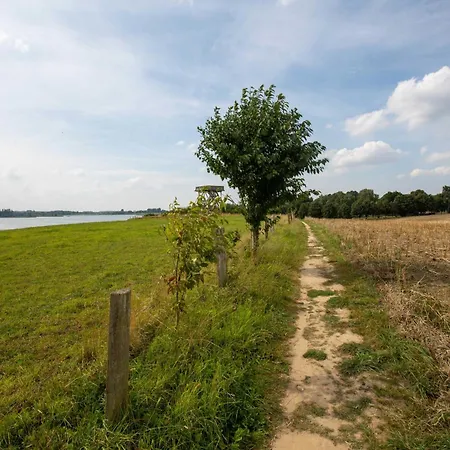 Richtenberger Ente Richtenberg