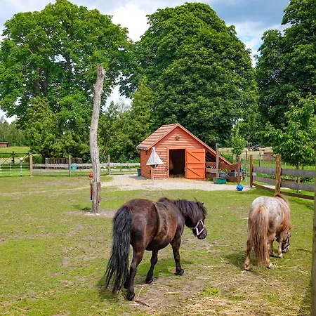 Privatunterkunft Richtenberger Ente Richtenberg