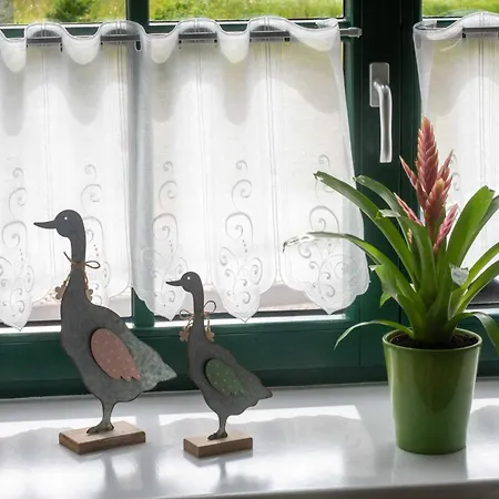 Richtenberger Ente Privatunterkunft *