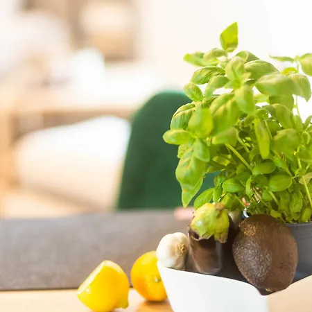 Privatunterkunft Richtenberger Ente *